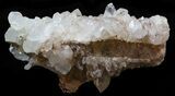 Brookite Crystals with Quartz on Matrix - Pakistan #38654-3